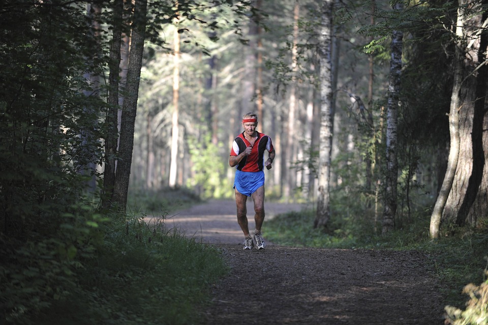 Tammo Doerner triumphiert beim 33. Herbstlauf in Ofen – Sportgasm