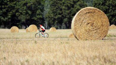 POL-DEL: Landkreis Oldenburg: Radfahrer bei Verkehrsunfall in Ahlhorn leicht verletzt