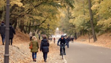 Sachsen-Anhalt: Radfahrerin in Magdeburg überrollt und getötet