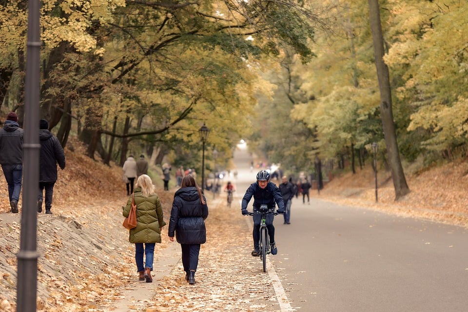 Sachsen-Anhalt: Radfahrerin in Magdeburg überrollt und getötet