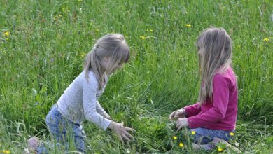 Berlin | Was Sie jetzt zum Kinderkrankengeld wissen müssen