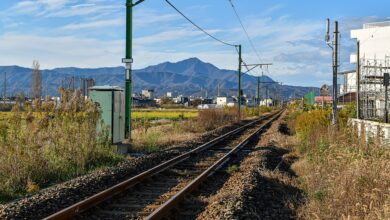 Arbeiten an S-Bahn-Linien S8 und S6: SEV auf mehreren Abschnitten