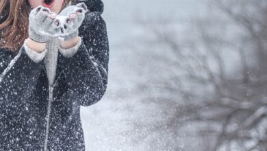 Neue Herausforderungen für Ski-Ass Rauen