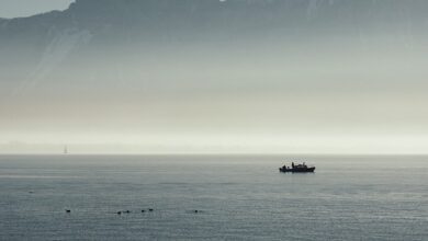 Hamburg & Schleswig-Holstein: Toter aus Bramfelder See geborgen