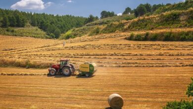 Traktor-Anhänger kippt nach Abbbiegen bei Bobitz um | NDR.de - Nachrichten - Mecklenburg-Vorpommern