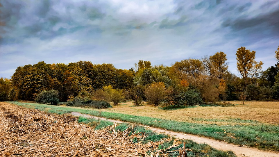 Biowetter Troisdorf heute: Welche Wetter-Beschwerden aktuell zu erwarten sind