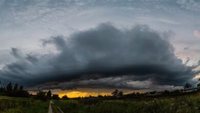 Unwetterwarnung Enzkreis heute: Warnung vor schweren Sturmböen!