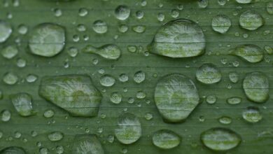 Unwetterwarnung Ahrweiler heute: Die aktuelle Lage und Wettervorhersage für die nächsten Stunden