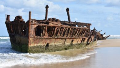 Vorschau: Die Nordreportage • Das Geisterschiff von Lübeck - Bergungsabenteuer in der Trave