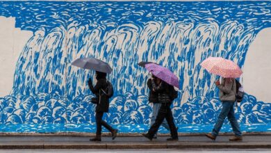 Biowetter in Hildesheim heute: Pollenflug und Wetter-Beschwerden am Sonntag im Überblick