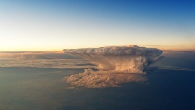 Biowetter Region Cottbus heute: Pollenflug und Wetter-Beschwerden am Samstag im Überblick