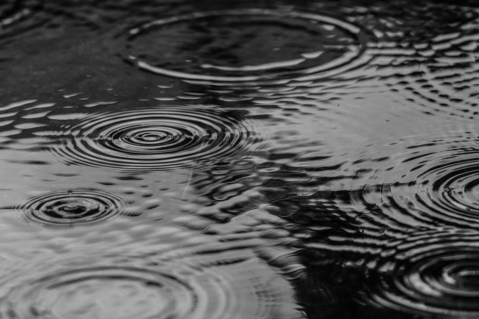 Biowetter in Neuss heute: Pollenflug und Wetter-Beschwerden am Sonntag im Überblick