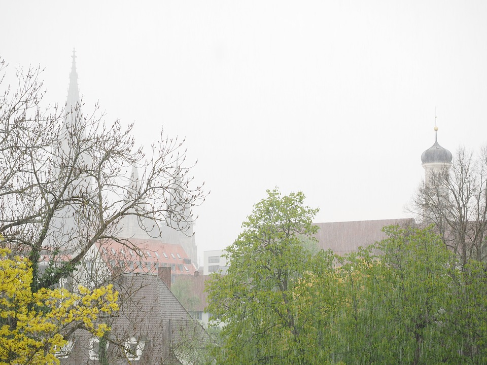 Biowetter heute in Halle (Saale): Pollenflug aktuell und witterungsbedingter Einfluss auf Ihr Wohlbefinden