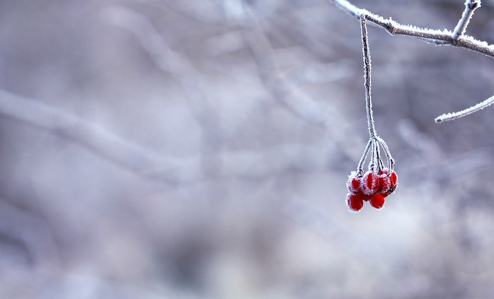 Umfrage: Von O bis O: Fahren Sie schon mit Winterreifen?