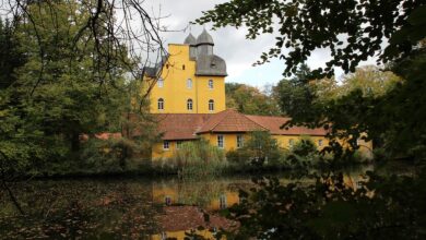 Der tschechische Künstler Jan Švankmajer verwandelt Schloss Lauenstein in eine Wunderkammer