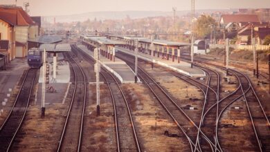 Zugverkehr: Zug prallt im Kreis Rendsburg-Eckernförde gegen Baum