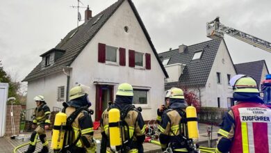 FW-E: Wohnungsbrand in Essen-Stadtwald - ein Hund verstorben